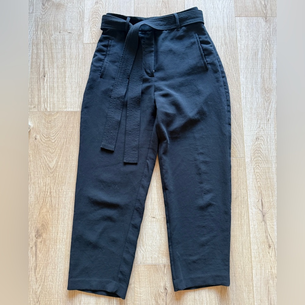 Aritzia Wilfred front tie trousers in crepette